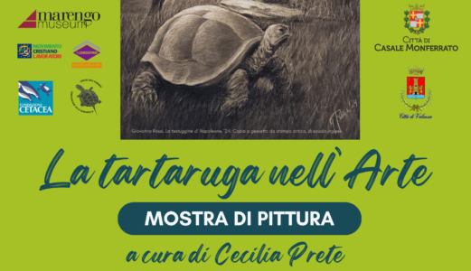 Mostra “La Tartaruga nell’Arte”, dal 4 ad Alessandria